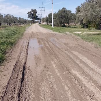 Geyikli Belediyesi Yol Çalışması!