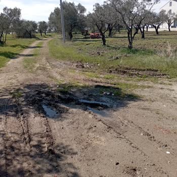 Geyikli Belediyesi Yol Çalışması!