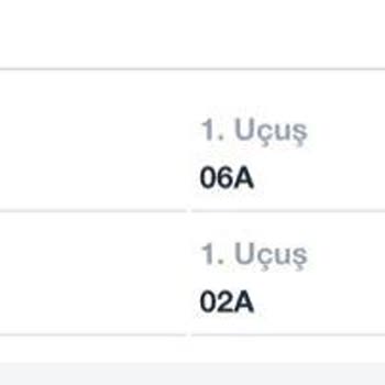 Türk Hava Yolları Koltuk Seçimi