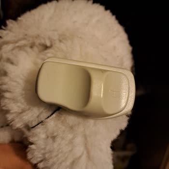 Boyner Müşteri Hizmetleri Deneyimi