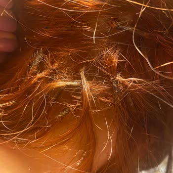 Kaynak Atölyesi (Mikrokaynak_bedirhan) Mağdur Edildim