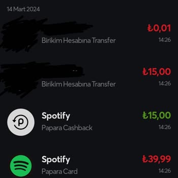 Papara İnternet Harcamaları Kapatma