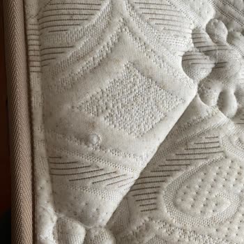 Esme Alışveriş Merkezi Mağaza Ürün Teslimatında Yaşanan Deformasyon Sorunu