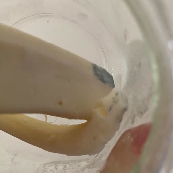 Taraklı Süt Taraklı Dil Peyniri SKT Geçmeden Küflendi