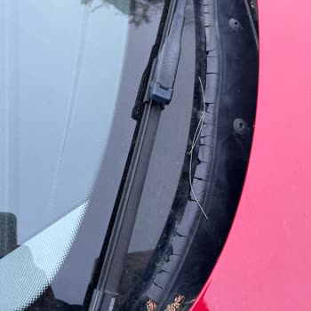 BMW Ön Cam Fitili