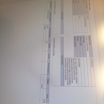 Sneaks Up Ve Cat Markasının Ayıbı