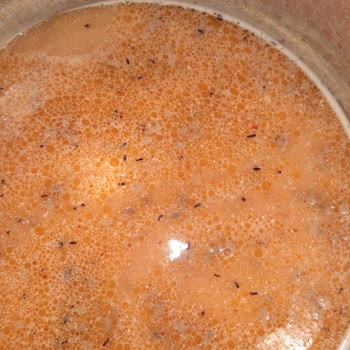 Knorr Çorbanın İçinden Çıkan Böcekler