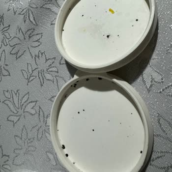 Paşabahçe Su Şişesi Kapağı Küflenmiş Gibi