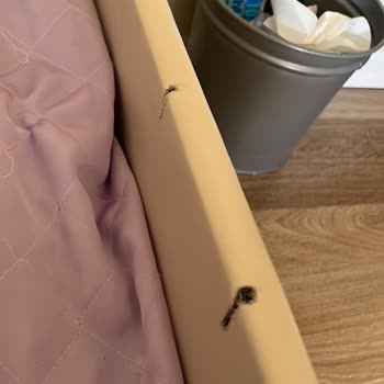Alfemo Mobilya Parça Ve Kalite Sorunu