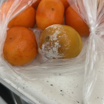 Migros'tan Çürük Ürüne Geri Dönüş Yok