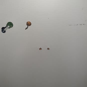 Bellona Ürünlerim Teslim Edilmedi