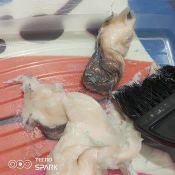 Neva Kozmetik Tarihi Geçmiş Küflü Boya