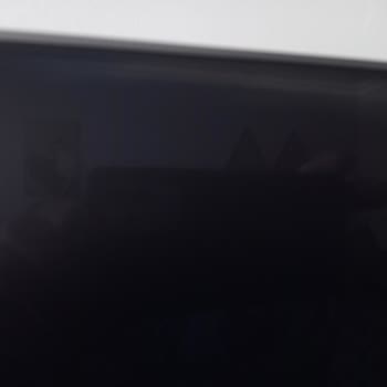 Samsung 65qn90c Panel Problemi