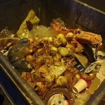 A101 Tehlike Saçıyor Fare Zehiri Katacağım İmha Ürüne Diyor