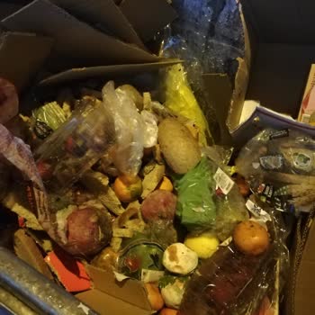 A101 Tehlike Saçıyor Fare Zehiri Katacağım İmha Ürüne Diyor