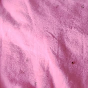 Kosla Leke Çıkarıcı Leke Çıkarmak Yerine Leke Yapıyor