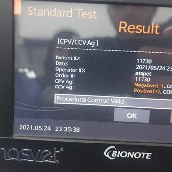 Hasvet Medikal V Check Hataları