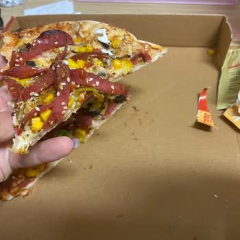 Terra Pizza'dan Verdiğim Siparişten Saç Çıktı