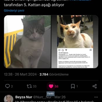 Terakki Vakfı Okulları Okulda Yaşanan Üzücü Olay Sonrası Sorumluların Cezalandırılması Talebi