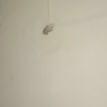 Kablo Net Acilen Zararın Karşılanması