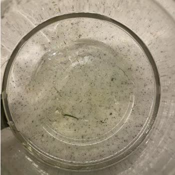 Kiwi Home Ayıplı Ürün Hk.