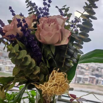 Taze Çiçek (tazecicek.com) Hayal Kırıklığına Uğratan Çiçek Siparişi