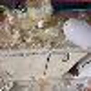 Beko Markalı Doğrayıcı Patladı Ve Ayağıma Camı Saplandı...