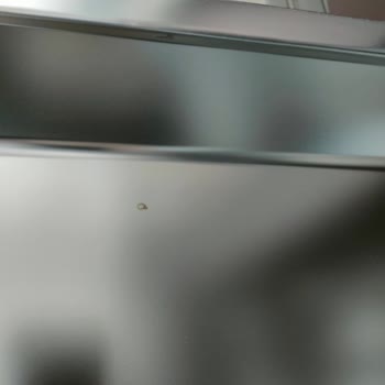 1 Aylık Vestel Bulaşık Makinesi