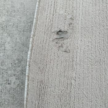 Limon Çiçeği Halı Yıkama (Ankara) Halılarımı Küflü Bir Şekilde Gönderdiler!