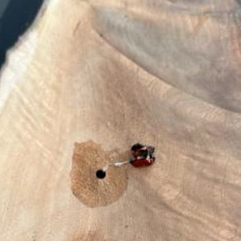 Samsun Doğal Ahşap & Epoksi Den Aldığım Masa Mağduriyeti