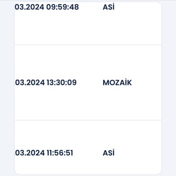 Aras Kargo Antakya Asi Ve Mozaik Şubesi