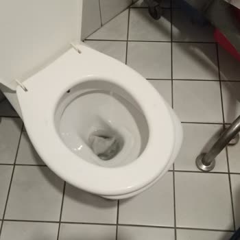 Bursa Yüksek İhtisas Eğitim ve Araştırma Hastanesi Engelli Tuvaletinin Amacından Farklı Kullanılması