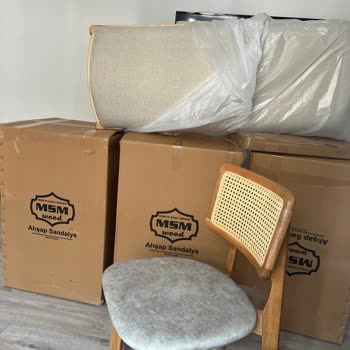 Vivense Saçmalığı Neden İnsanların Vivense'yi Kötülediğini Şimdi