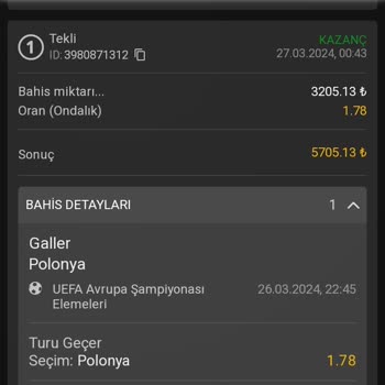 Bahiscasino Para Çekme Talebimi Yerine Getirilmemesi