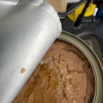 Dardanel'den Çıkan Beyaz Şeyler