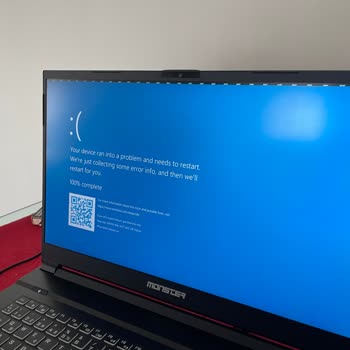 Monster Bir Türlü Düzelmeyen Mavi Ekran Hatası