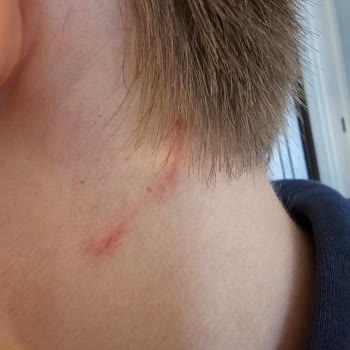 Bahçeşehir Koleji Okulda Şiddet Var!