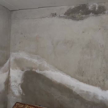 Hdi Sigorta Ve Enuygun Sigorta Beni Yalnız Bıraktı