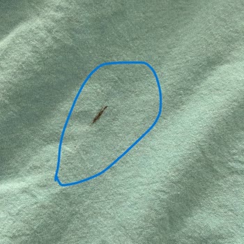 Sıfır Alınan Profilo Marka Çamaşır Makinesi Leke Yapma Problemi