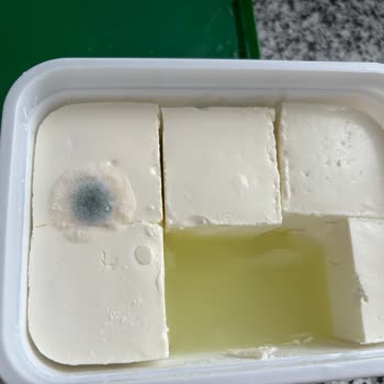 Pınar Et Ve Süt Son Kullanma Tarihi Geçmeden Küflenen Süzme Peynir