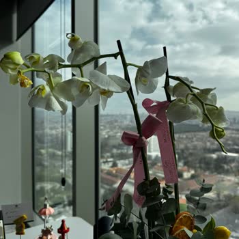 Taze Çiçek Kargo Gönderimli Hasarlı Teslimat