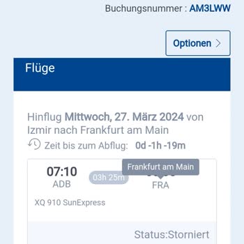 Sunexpress İzmir El Bagaj İçin 80 Euro Talep