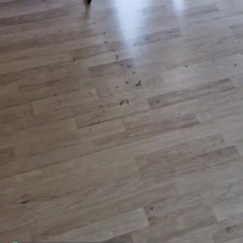 Madame Coco Havlu Kalitesizliği Ve Bornoz Pişmanlığı!