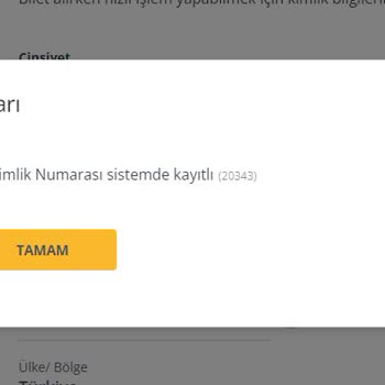 Pegasus Genç Bol Bol T. C. No Sisteme Kayıtlı Sorunu