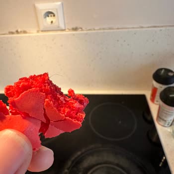 BİM Ürününden Kıl Çıktı