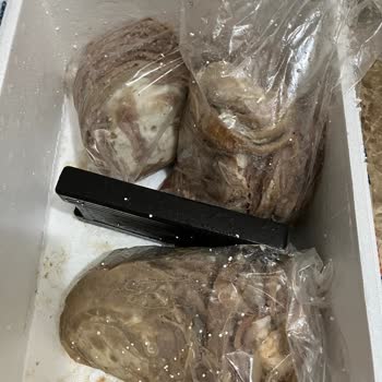 Tarihi Kokoreç Gerçekle İlgisi Olmayan Sağlıksız Ürünler