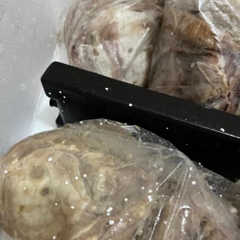 Tarihi Kokoreç Gerçekle İlgisi Olmayan Sağlıksız Ürünler