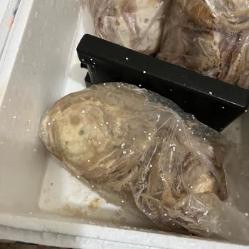 Tarihi Kokoreç Gerçekle İlgisi Olmayan Sağlıksız Ürünler