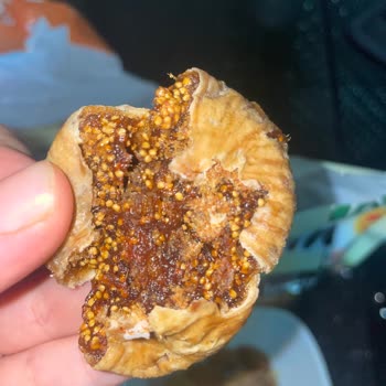 Migros Satın Alınan Kuru İncirlerin Kalitesizliği Hakkında Şikayet