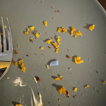 Banvit Tavuk Şinitzelden Plastik Parça Çıktı